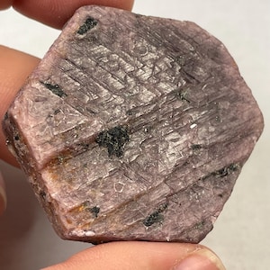 May include: A hexagonal-shaped, rough-cut ruby gemstone. The stone has a pinkish-red hue with dark inclusions and visible surface striations. The gemstone is held in a hand, showcasing its natural, unpolished texture.