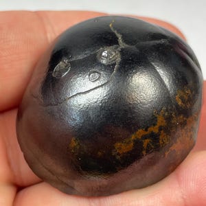 May include: A dark, rounded stone with a smooth, reflective surface. The stone has a deep black color with hints of brown and a few small, lighter-colored inclusions. A crack runs across the top of the stone.