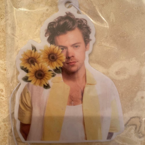 Harry Styles Inspired Air Freshener Car Air Freshener Car Etsy UK