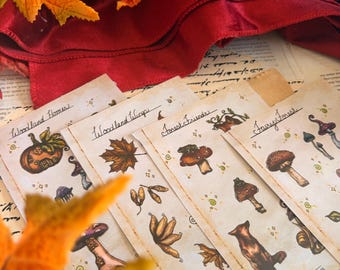 Enchanted Woodland Sticker Sheet | Fall Fairy Stickers | Mushroom, Fox & Woodland Creature Stickers | Autumn Planner Stickers