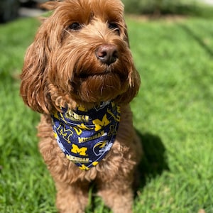 University of Michigan Bandana