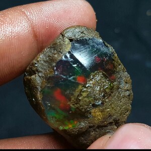 May include: A rough, uncut black opal gemstone with vibrant internal colors of red, green, and blue. The opal is held in a hand, showcasing its natural, earthy exterior and polished, iridescent interior.