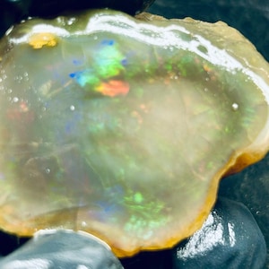 May include: A polished opal gemstone with a translucent body and a vibrant play of color. The opal displays flashes of green, blue, and orange hues. The stone has a rough, natural edge with a golden-brown color.