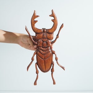Beetle Wall Panel, Wall Art, Insect Art, Animal Statue, Hanging Art, Office Decor, Wood Carving, Livingroom Decor, Best Friend gift