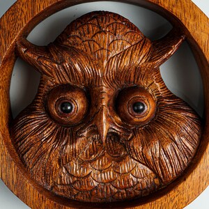 May include: A circular brown wooden wall carving featuring a detailed owl face with prominent, large, dark eyes and intricate feather textures. The owl is centered within a smooth, thick wooden ring frame, showcasing natural wood grain patterns.