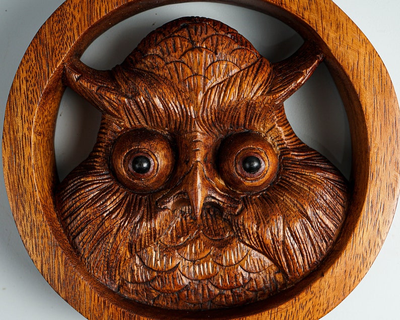 May include: A circular brown wooden wall carving featuring a detailed owl face with prominent, large, dark eyes and intricate feather textures. The owl is centered within a smooth, thick wooden ring frame, showcasing natural wood grain patterns.