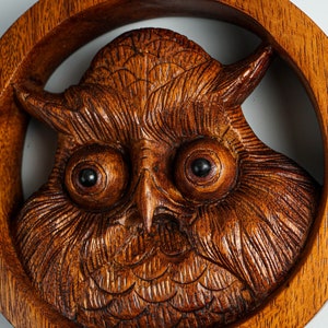 May include: A circular brown wooden wall carving featuring a detailed owl face in the center. The owl has large, round, dark eyes and intricate feather textures carved into the wood. The entire piece is framed by a smooth, polished wooden ring.