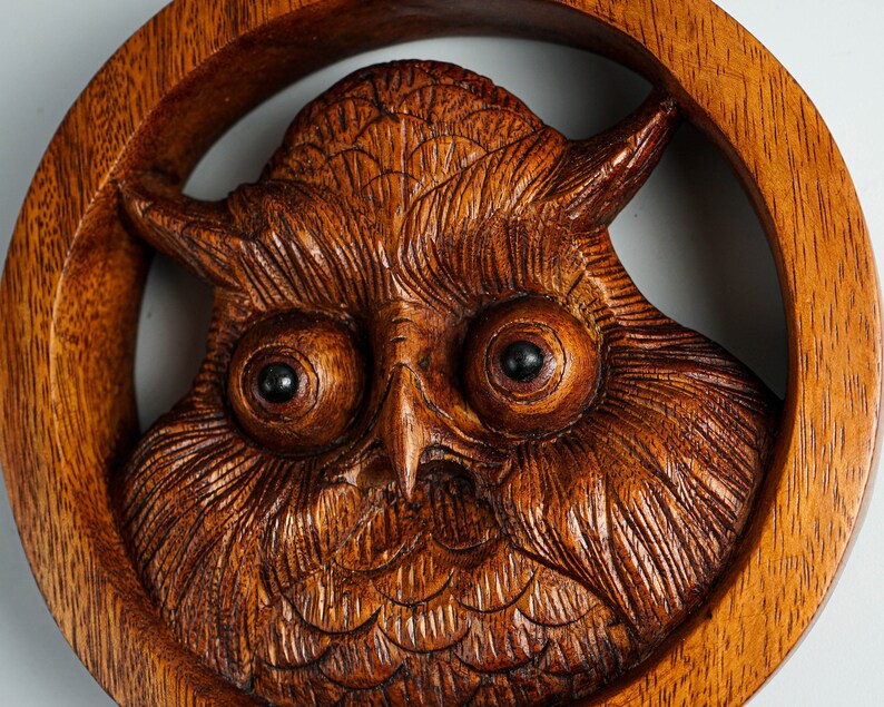 May include: A circular brown wooden wall carving featuring a detailed owl face in the center. The owl has large, round, dark eyes and intricate feather textures carved into the wood. The entire piece is framed by a smooth, polished wooden ring.