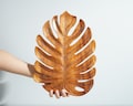 Monstera Leaf Wall Decor, Leaf Wall Art, Wooden Wall Decor, Wood Carving Wall Art, Handcrafted, Handmade, Wall Ornament, Birthday Gift product logo