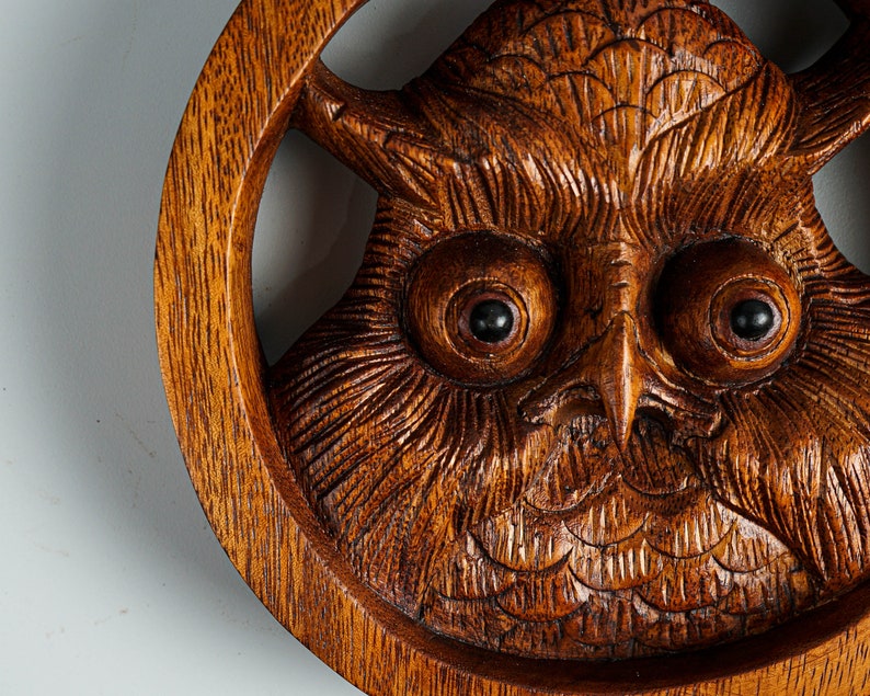 May include: A circular wooden wall carving featuring a detailed owl face with prominent, dark, round eyes and intricate feather textures. The natural brown wood grain is visible throughout the piece, showcasing deep, carved lines and a smooth finish.