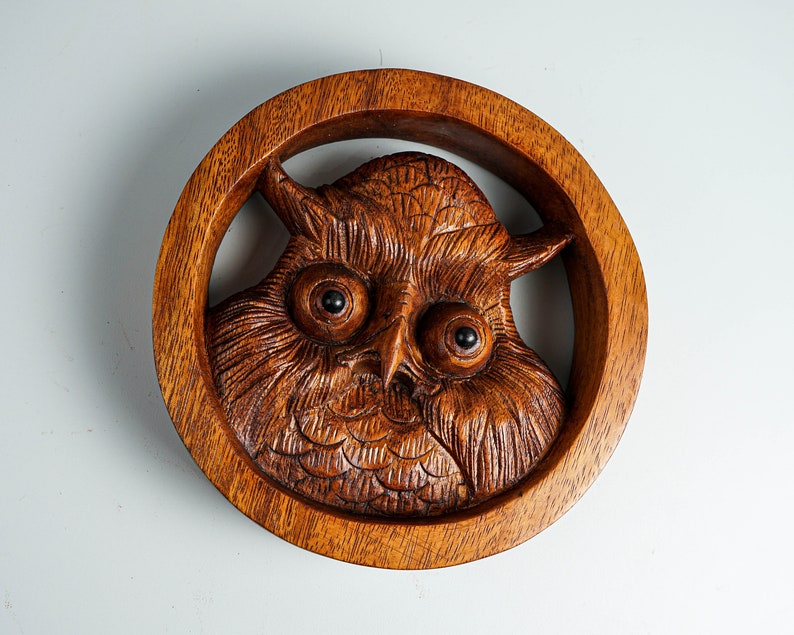 May include: A circular brown wooden wall carving featuring a detailed owl head in the center. The owl has large, dark, round eyes and deeply incised feather patterns across its face and chest, all enclosed within a smooth, thick wooden ring frame.