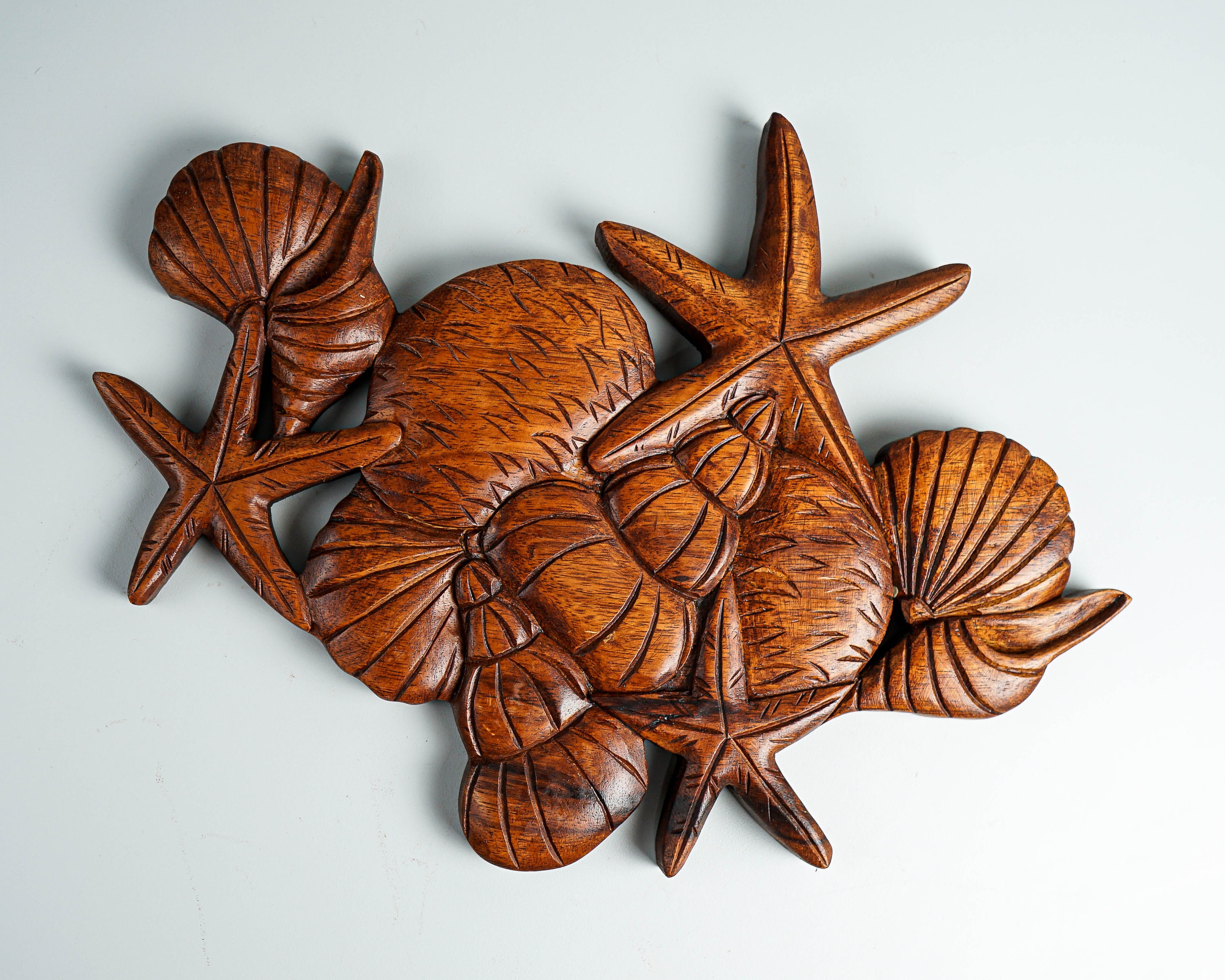 Seashell Wall Decor Wooden Seashell Wall Art Marine Life Etsy