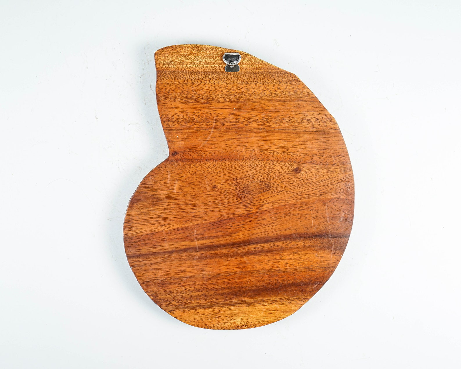 Seashell Wall Decor Wall Art Wood Carving Seashell Etsy