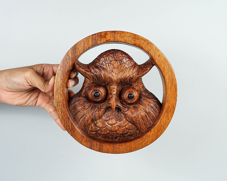 May include: A circular wooden carving featuring a detailed owl face centered within a smooth, polished ring frame. The natural brown wood grain is visible throughout the piece, highlighting the textured feathers and large, dark, round eyes.