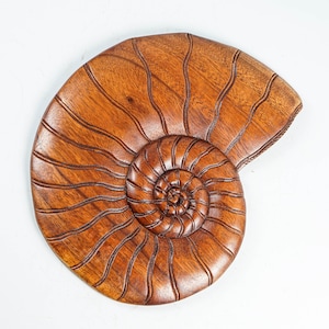 Seashell Wall Decor, Wall Art, Wood Carving, Seashell Sculpture, Beach ...