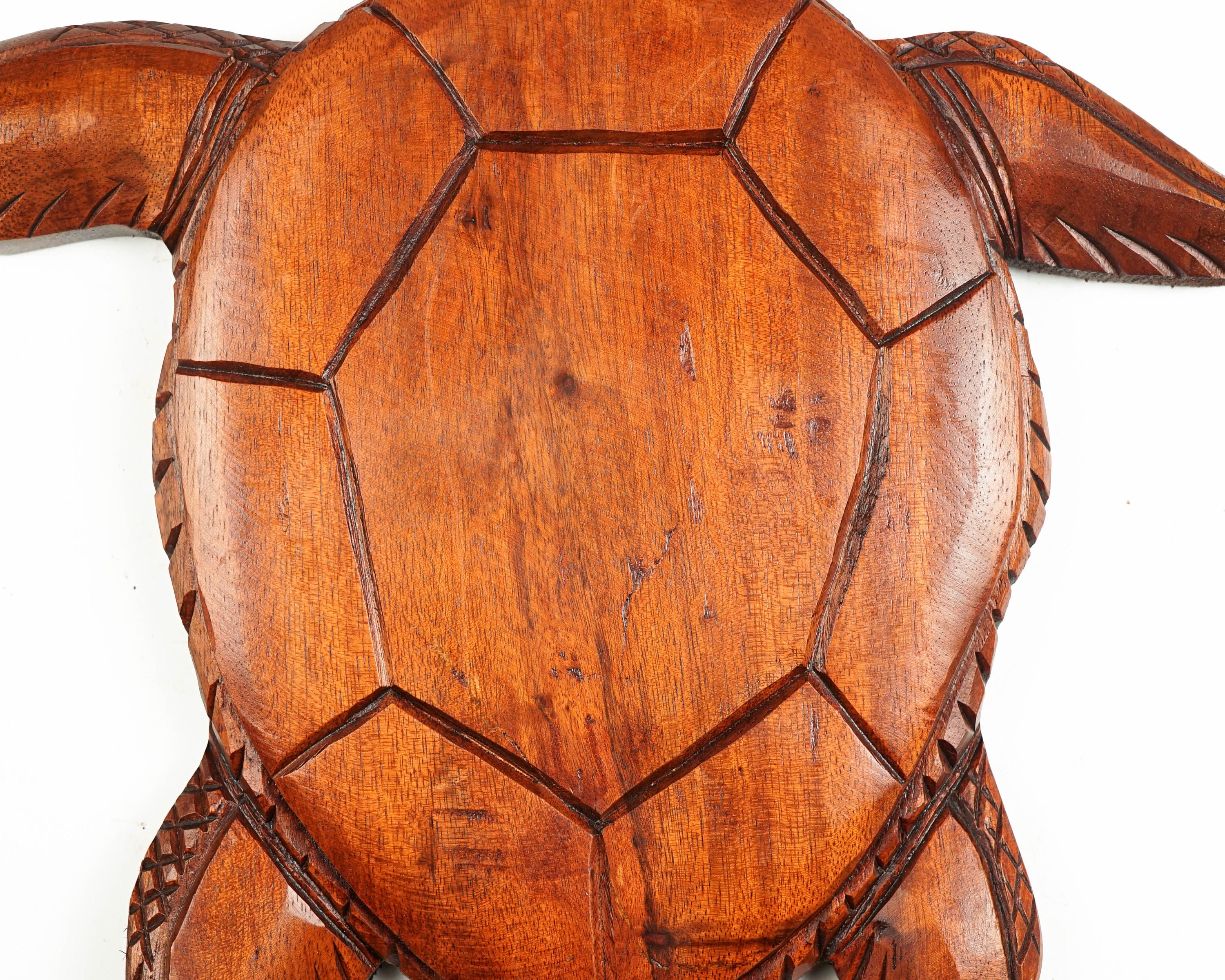 Sea Turtle Wall Decor Coastal Wall Art Wooden Animal Decor Etsy