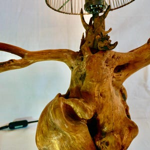 Puede incluir: Una l&aacute;mpara de mesa r&uacute;stica con una pantalla de jaula de alambre. La base est&aacute; hecha de una ra&iacute;z de madera natural con una forma y textura &uacute;nicas.