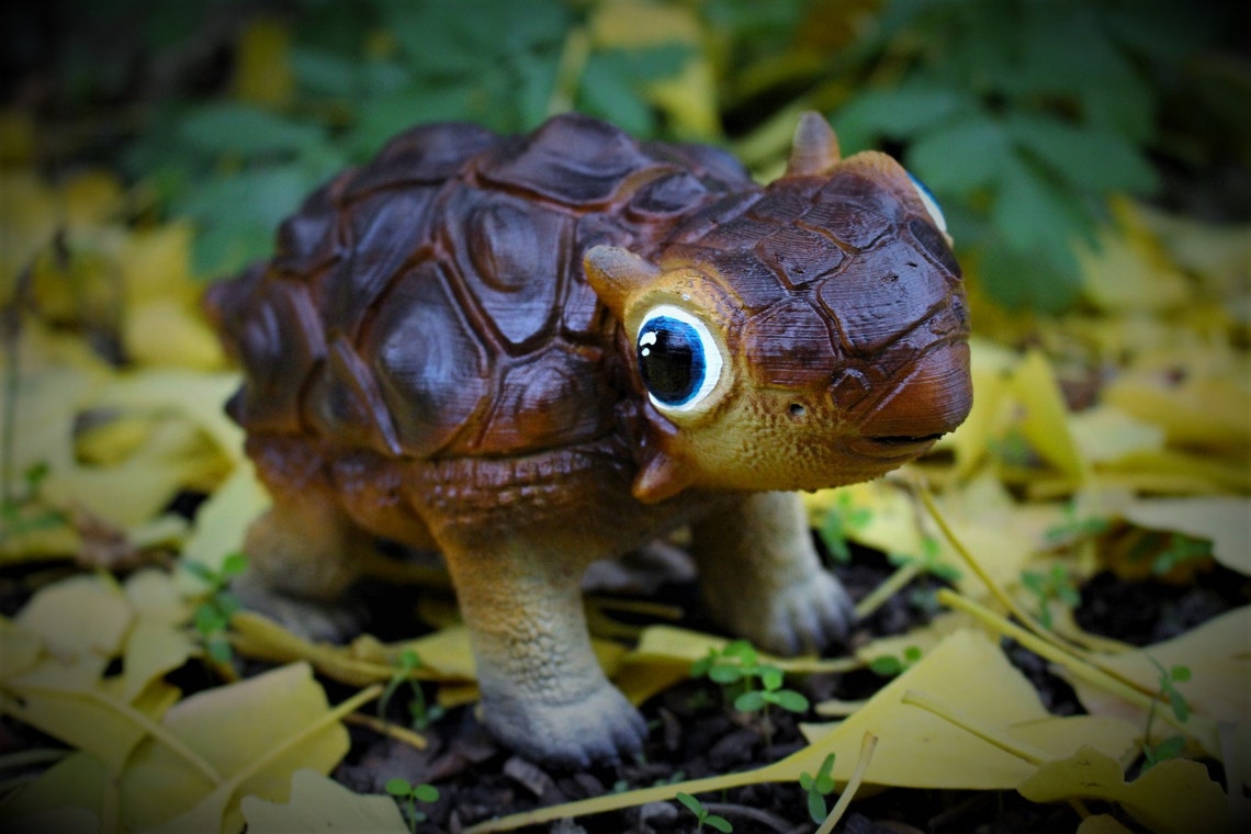 Baby Ankylosaurus / Baby Dinosaur / Baby Dinosour Etsy Ireland