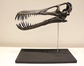 Pterosaur Dino Skull "The Beast"
