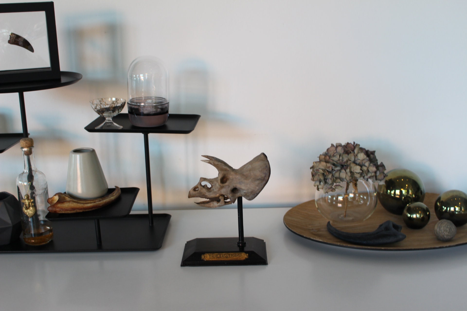 Triceratops Skulptur Deko Fossil Etsy
