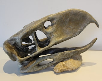 1:1 Terror Bird Skull / Terror Bird Skull