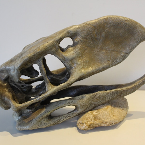 1:1 Terror Vogel Schädel / Terror Bird Skull