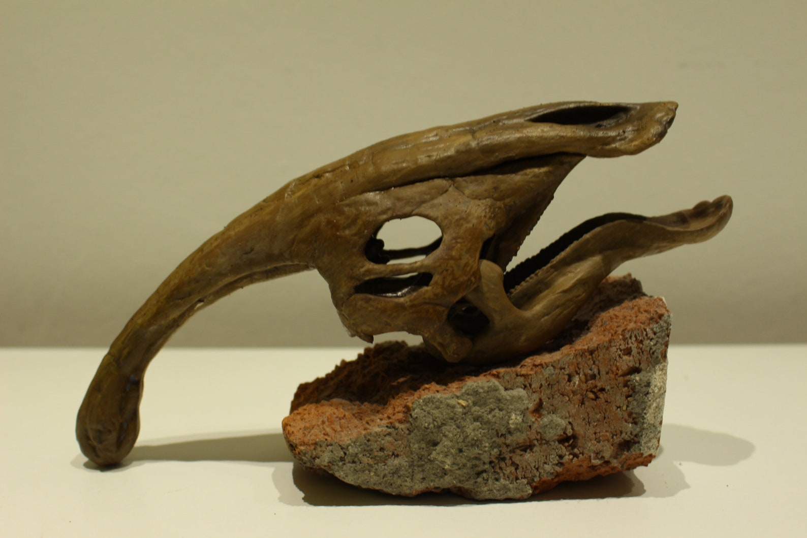 Parasaurolophus Skull Dinosaur Fossil / dinosour skull | Etsy