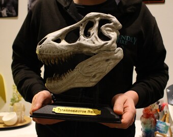 Giant Tyrannosaurus Rex Sculpture Decoration Fossil