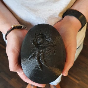 Dino Egg Dino Egg hatching Velociraptor