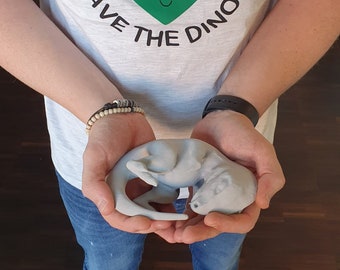 May include: A person wearing a grey t-shirt with a green heart-shaped dinosaur graphic and the text "Dinosaur Protection Group" and "Save the Dinos!" is holding a small grey dinosaur figurine in their hands.