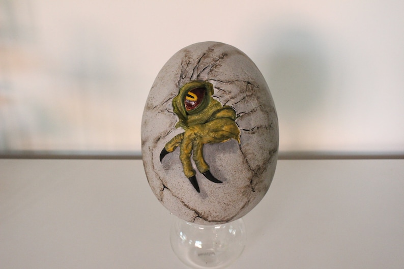 velociraptor egg fossil