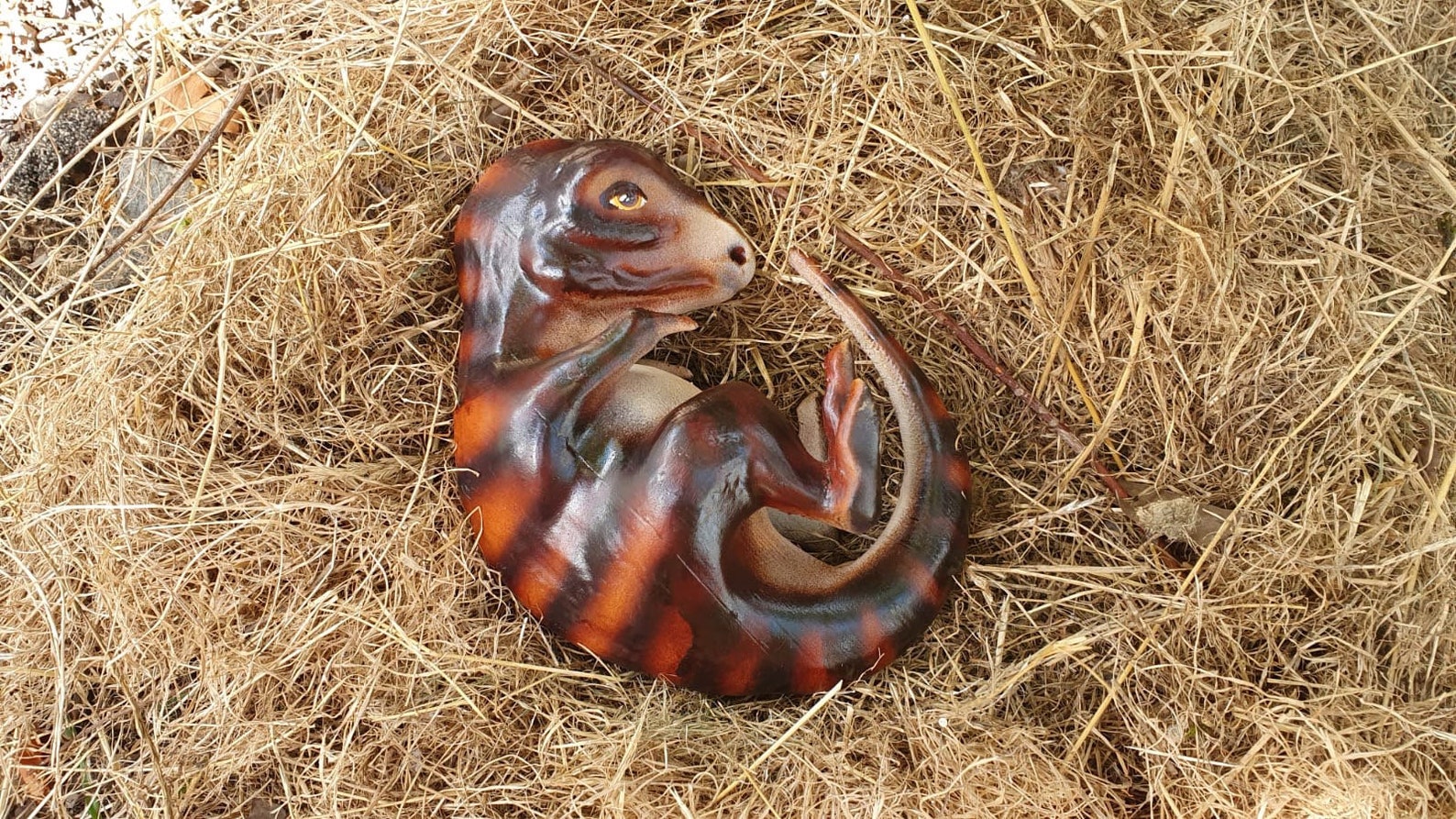 tiny velociraptor