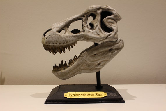 Giant Tyrannosaurus Rex Sculpture Decoration Fossil Denmark