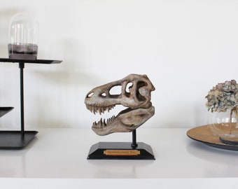 Tyrannosaurus Rex Sculpture Decoration Fossil