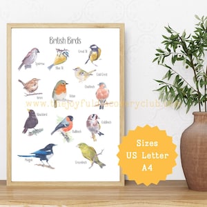 Pôster digital com pássaros de jardim britânicos para download, tamanho A4 e carta dos EUA | Pôster ilustrado em aquarela com 12 pássaros comuns de jardim