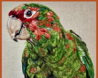 Mitred Conure Felted Painting With Wool 12” x 12”