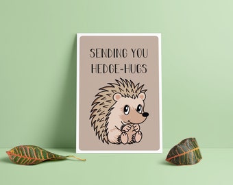 Sending You Hedge-hugs A6 Humorous Missing You Funny Pun Greeting Cards FREE SHIPPING*