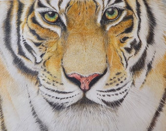 Personalized animal drawings, realistic animal portrait, illustrations, etc.