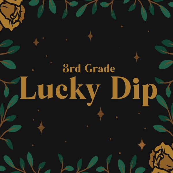 Lucky Dip Surprise Box (3rd Grade Enamel Pins and Enamel Bookmarks)