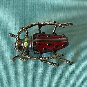 カミキリムシのブローチ、ゴキブリのブローチ、イナゴ、スカラベのブローチ、赤いカブトムシのピン、金のカブトムシのブローチ、カミキリムシのブローチ、昆虫のジュエリー