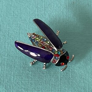 May include: A purple jeweled beetle brooch with a black head and colorful rhinestones.