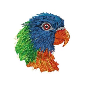 May include: A close-up of a parrot's head with blue, green, orange, and red feathers. The parrot's eye is visible and is red.