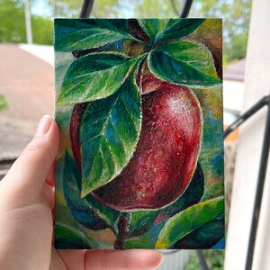 Pintura a óleo original maçã vermelha pintada à mão arte de frutas pequena cozinha decoração de parede 4 por 6 polegadas presente
