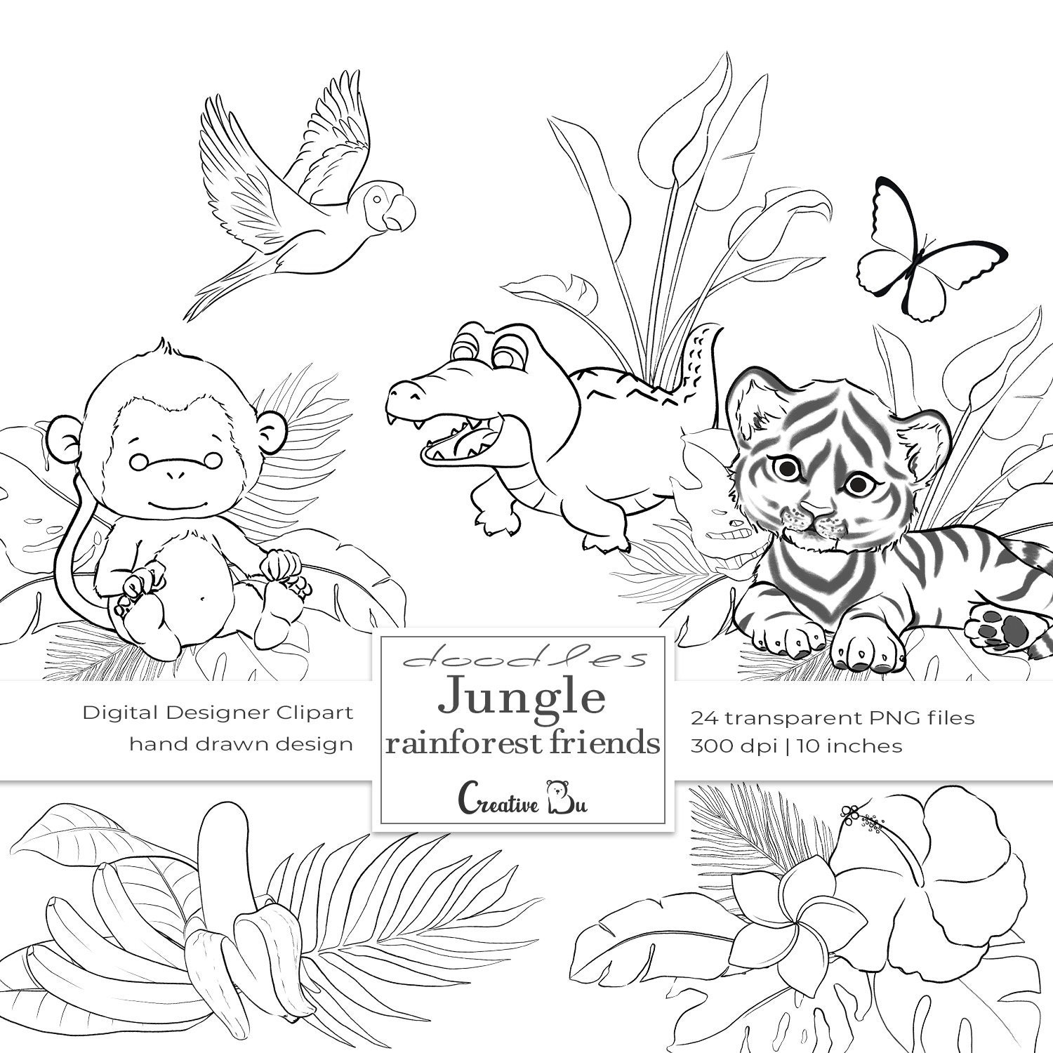 Rainforest Animal Clipart Black And White