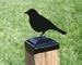 Song Bird Post Cap for 4x4 Wood Fence Post, Bird Finial Post Topper, Perched Bird Postcap, Fence Decor, Robin Bird 