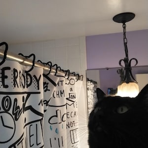 Katzen Themed Duschvorhanghaken