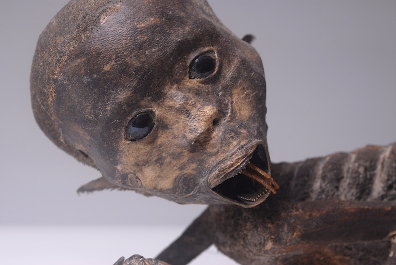 FeeJee MERMAID Fiji Mermaid Mummified Mermaid image 5