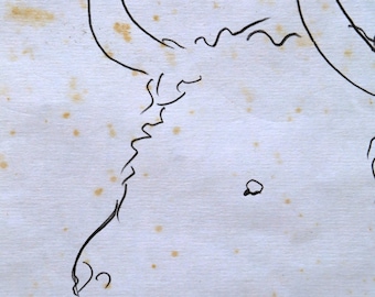 Pablo Picasso Zeichnung auf Papier mit Echtheitszertifikat