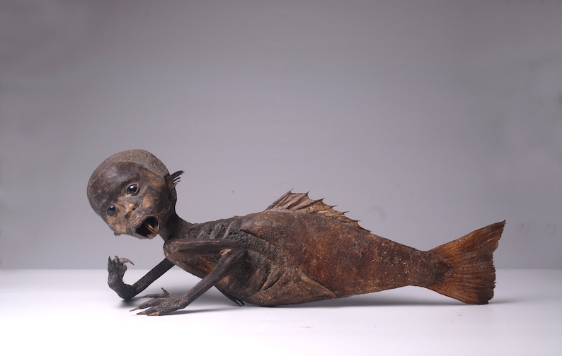 FeeJee MERMAID Fiji Mermaid Mummified Mermaid image 1