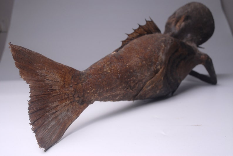 FeeJee MERMAID Fiji Mermaid Mummified Mermaid image 8